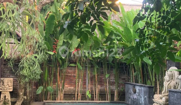 Monthly Or Yearly Rental: Cozy Rustic Style Villa In Jimbaran