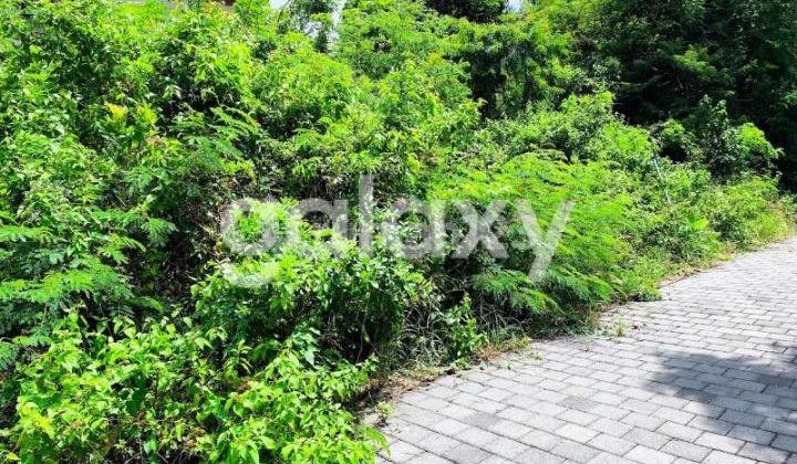 Land Area of Bali Cliff Ungasan Badung Residential Complex, Bali