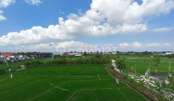 Villa Dikelilingi Sawah Dekat La Brisa Dan Pantai Batu Bolong