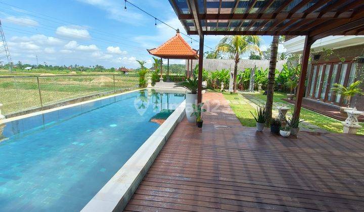 BRAND NEW VILLA WITH ETERNAL RICE FIELD VIEW IN LODTUNDUH UBUD 1