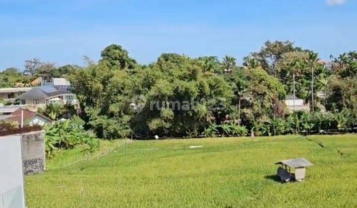 Villa Baru View Sawah Dekat Echo Beach Dan La Brisa Bali 9