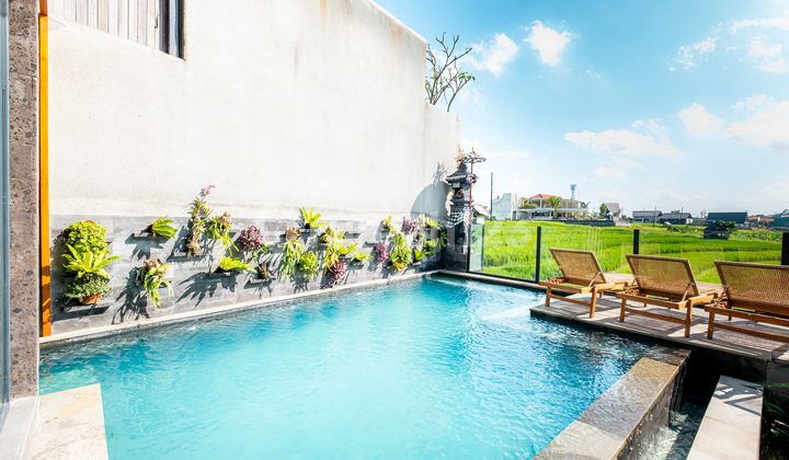 Modern Luxury 3BR Villa in Canggu Near Echo Beach Private Pool Modern Luxury 3BR Villa in Canggu Near Echo Beach Private Pool