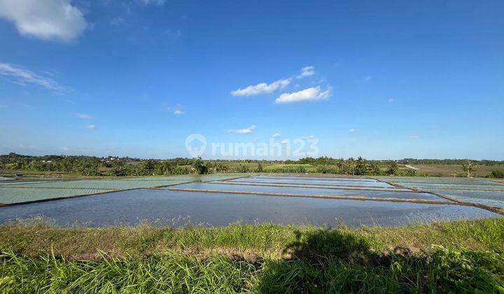 Tanah 21 Are di Dekat Pantai Pasut Tabanan Area Nyaman View Sawah Cocok Untuk Investasi  1