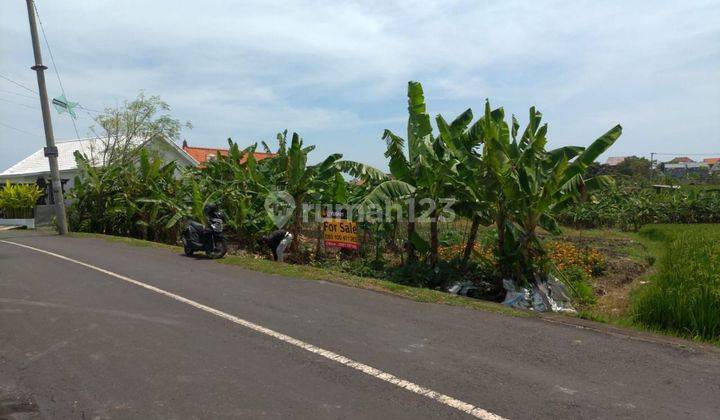 Tanah Di Munduk Kedungu Pererenan Canggu Cocok Untuk Villa Kompleks Akses Lebar Area Komersial Premium 2