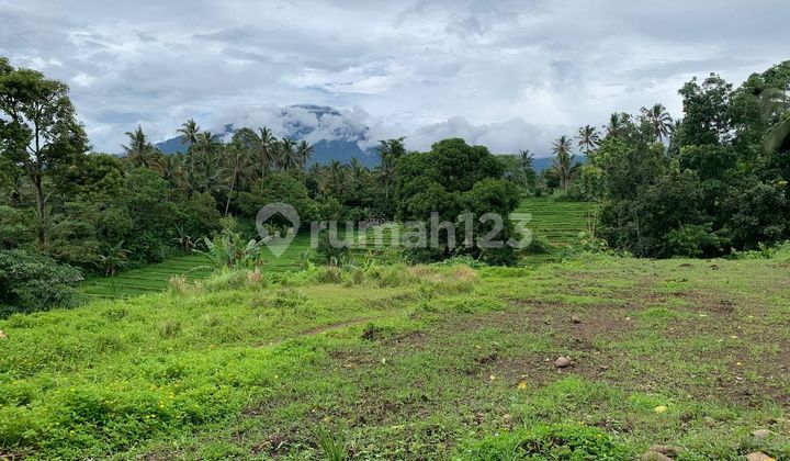 Dijual Tanah 1,39 Hektar di Penebel Tabanan Bali View Sawah Dan Gunung Batukaru Cantik