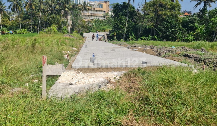 Dijual Tanah di Lokasi Cantik Pantai Cemagi Suara Ombak Terdengar Cocok Bangun Villa Beach View 2