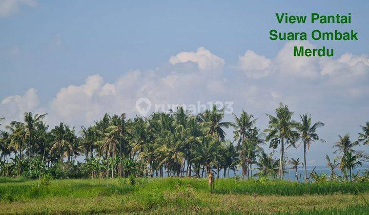 Dijual Tanah di Lokasi Cantik Pantai Cemagi Suara Ombak Terdengar Cocok Bangun Villa Beach View 4