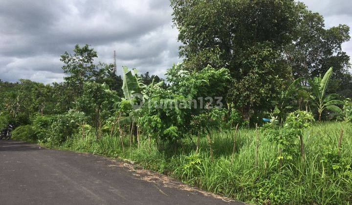 Beautiful Land for Sale with Valley View Near Kanto Lampo Waterfall Beng Gianyar Bali Suitable to Build a Private Villa in a Very Quiet and Beautiful Area  1