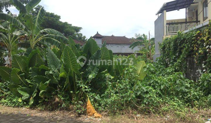 Dijual Tanah Murah 4 Are di Gunung Talang Denpasar Akses Jalan Lebar Area Nyaman Dekat Ke Pusat Hiburan Dan Fasilitas Umum 6