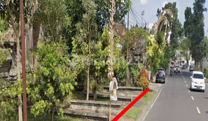 DIJUAL TANAH MURAH 49 ARE DI MEKARSARI LUWUS TABANAN DIJUAL TANAH MURAH 49 ARE DI MEKARSARI LUWUS TABANAN