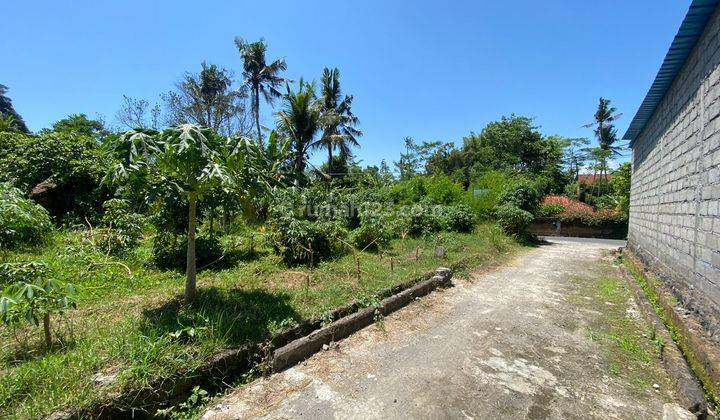 Dijual Tanah 4,8 Are Di Jalan Utama Keramas Akses Lebar Cocok Untuk Gudang Dan Rumah Tinggal 2