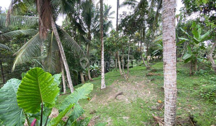 Nice Villa 4 Bedrooms and 56 Are Land in Kenderan Ubud Cheap Jungle View Suitable for Investment in Ubud 2