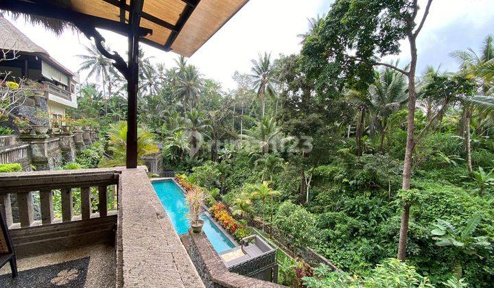 Villa Bagus 4 Bedroom Dan Tanah 56 Are di Kenderan Ubud Murah Jungle View Cocok Untuk Investasi di Ubud 2