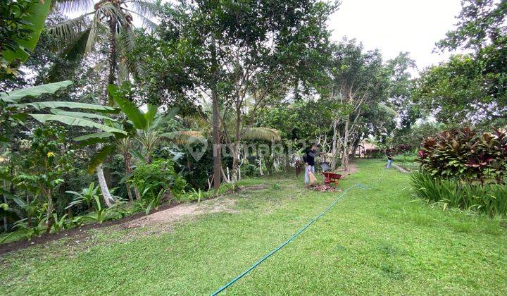 foto lainnya villa bagus 4 bedroom dan