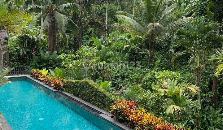 kolam renang villa bagus 4 bedroom dan