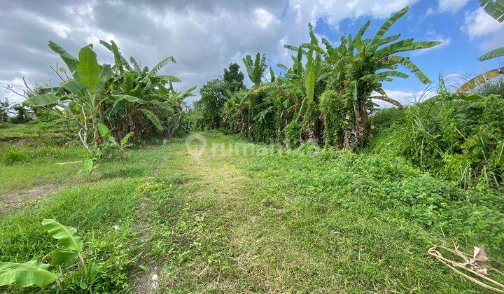 2 Are land in Sempidi Lukluk near Puspem Badung, Asri Naman area, ready to build cheap land 2