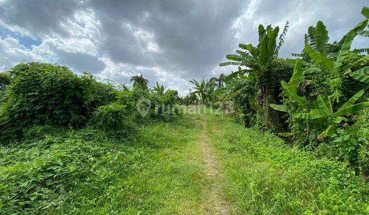 2 Are land in Sempidi Lukluk near Puspem Badung, Asri Naman area, ready to build cheap land 1