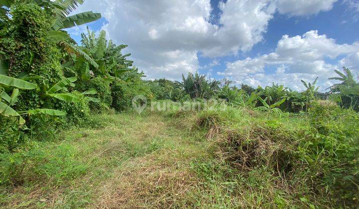 10 Are Cheap Land in Sempidi Mengwi Near Puspem Badung Ready to Build  2