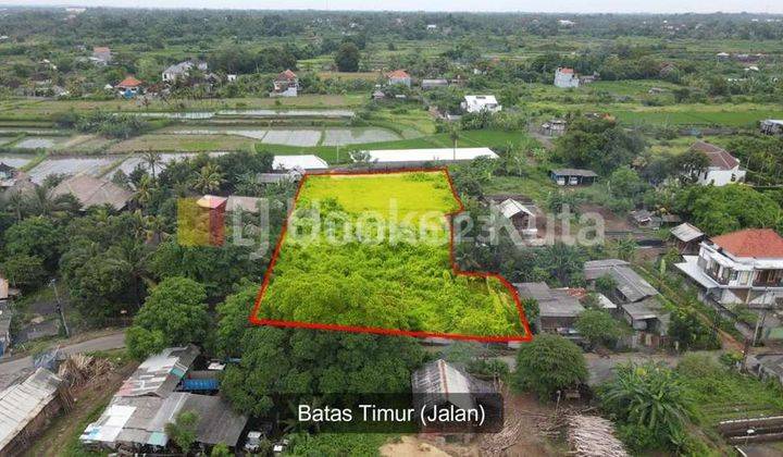 Tanah di Selukat Keramas Murah Cocok Dijadikan Perumahan Cluster Area Nyaman Dekat ke Pantai  2