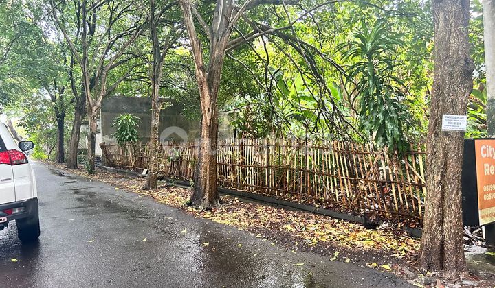 Tanah Siap Bangun Di Area Premium Elit Ciung Wanara Renon Sangat Dekat Ke Pusat Pemerintahan Puputan Tanah Siap Bangun Di Area Premium Elit Ciung Wanara Renon Sangat Dekat Ke Pusat Pemerintahan Puputan