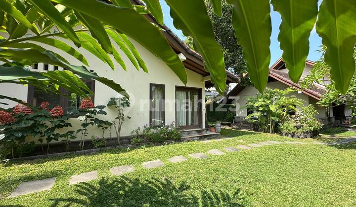 Tanah Bonus Bangunan Villa di Padang Linjong Canggu Harga Under Market Area Premium