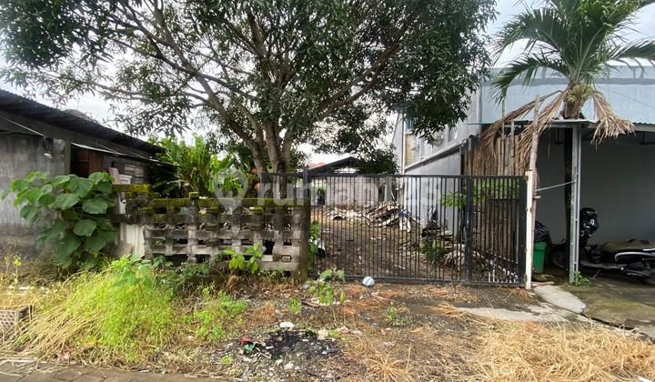 Tanah Siap Bangun di Gunung Salak Kerobokan Area Tenang View Sawah Cocok untuk Villa Tanah Siap Bangun di Gunung Salak Kerobokan Area Tenang View Sawah Cocok untuk Villa