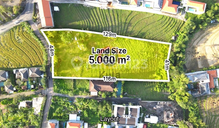 Tanah Langka Jarang Ada 50 Are Di Sempol Pererenan Canggu Akses Lebar Cocok Dijadikan Villa Kompleks Elit 