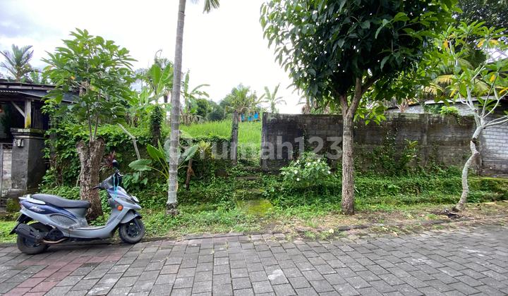Cheap Land in a Comfortable, Quiet Area, Close to Tabanan City, Ready to Build with SHM Cheap Land in a Comfortable, Quiet Area, Close to Tabanan City, Ready to Build with SHM