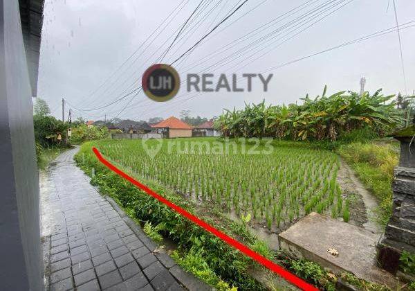 Land for Lease in Penestanan, Ubud, Gianyar, Quiet Area, Close to Campuhan Ridge Walk, Suitable for Villa 2