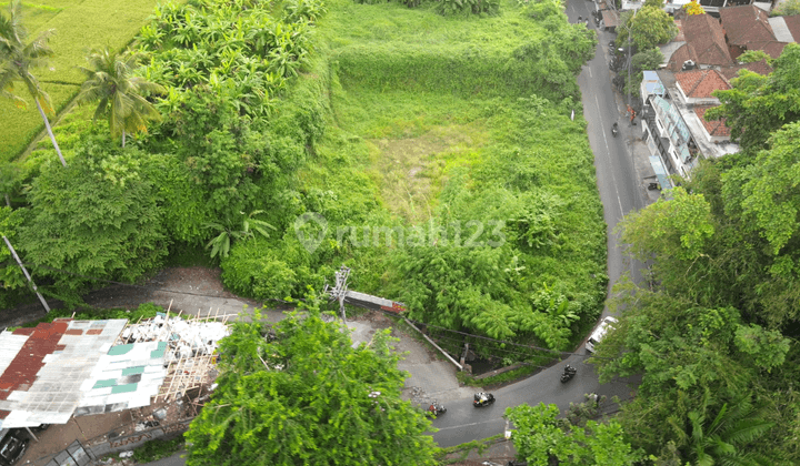 Tanah 13 Are di Jalan Utama Peliatan Ubud Dekat Ke Maya Resort Ubud Area Komersial Siap Bangun 2