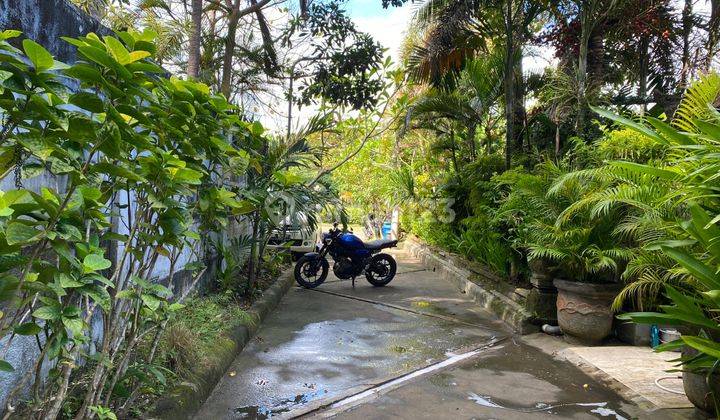 Villa Tropical Cantik Semi Furnished Siap Huni Cluster Puri Bendesa Jimbaran 2