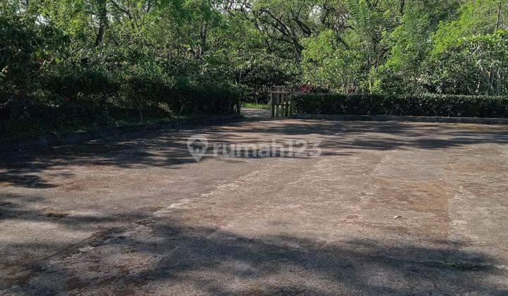 Cheap Garden Land in Puncaksari Pupuan Singaraja Suitable for Gardens and Plantations Accessible by Car 1