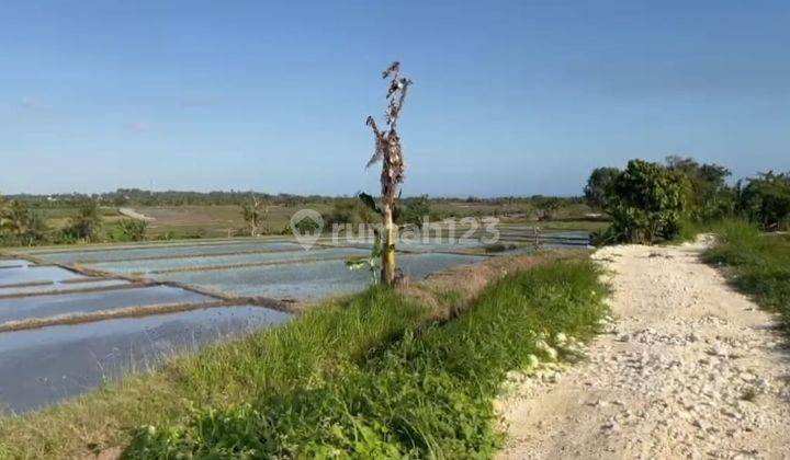 Tanah 21 Are di Dekat Pantai Pasut Tabanan Area Nyaman View Sawah Cocok Untuk Investasi  2