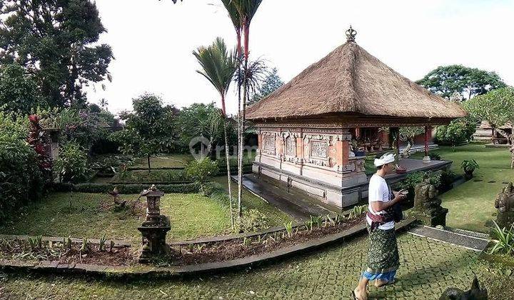 Tanah 49 Are di Jalan Utama Mekarsari Luwus Baturiti Area Komersial Dekat Rs Semaratih Dan Cocoaland Bali 1