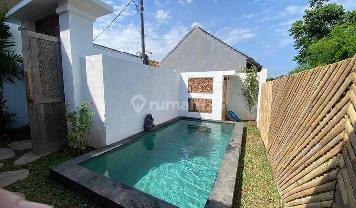 Villa Joglo View Sawah 1 Kamar Tidur Cantik Siap Huni Ditukad Balian Sanur Dekat Ke Pantai 1
