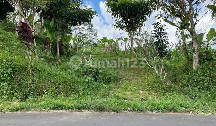 Cheap Land Jungle View In Kerta Payangan Village Ubud Near To Kintamani And Padma Ubud With Main Road Access Cheap Land Jungle View In Kerta Payangan Village Ubud Near To Kintamani And Padma Ubud With Main Road Access