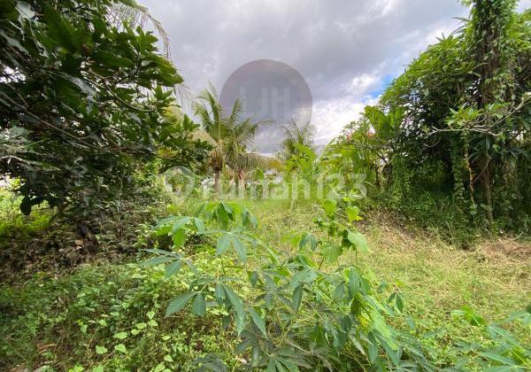 Tanah dengan Akses Baik dan Lokasi Strategis di Pering, Gianyar, Dekat dengan Flaminggo Beach Club dan Pantai Saba  

Land with Good Access and Strategic Location in Pering, Gianyar, Close to Flaminggo Beach Club and Saba Beach