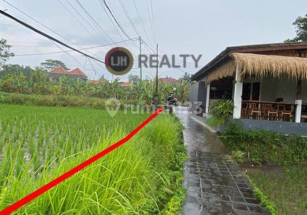 Land for Lease in Penestanan, Ubud, Gianyar, Quiet Area, Close to Campuhan Ridge Walk, Suitable for Villa 1