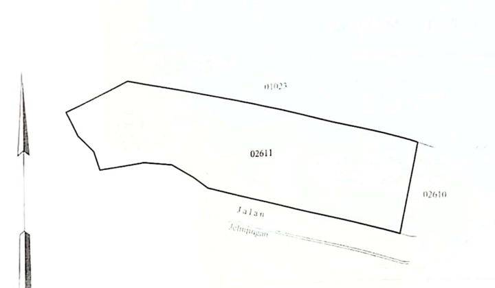 Tanah 10 Are di Dekat Sempidi Badung Murah Cocok Untuk Di Kavling Area Nyaman Dan Asri 2