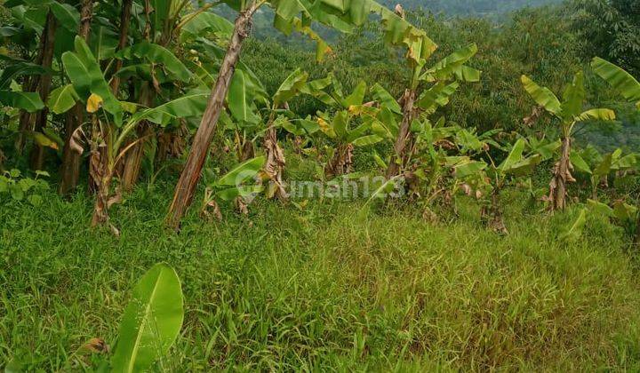 Dijual Murah Tanah 1,3Ha di Desa Cibadak Bogor untuk Cluster 1