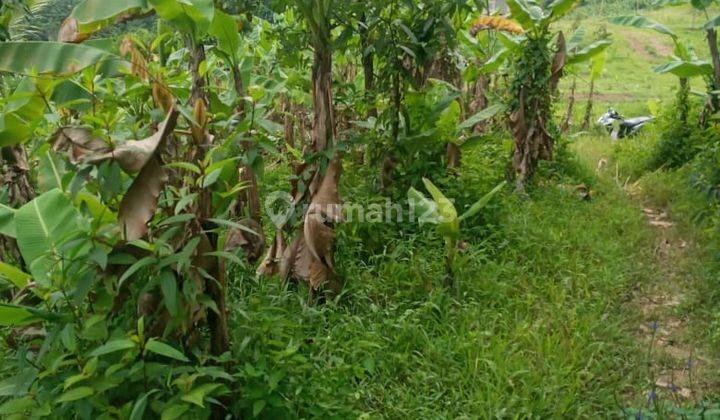 Dijual Murah Tanah 1,3Ha di Desa Cibadak Bogor untuk Cluster 2