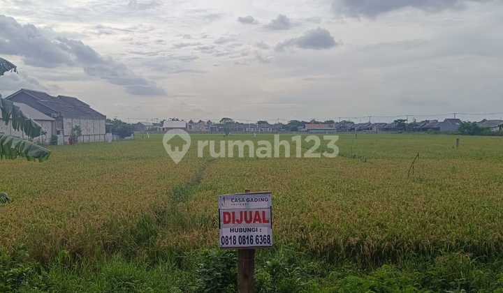 Tanah di Jual di Babelan, Bekasi