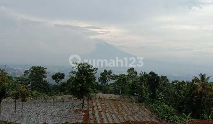 Tanah di jual di Megamendung Tanah di jual di Megamendung
