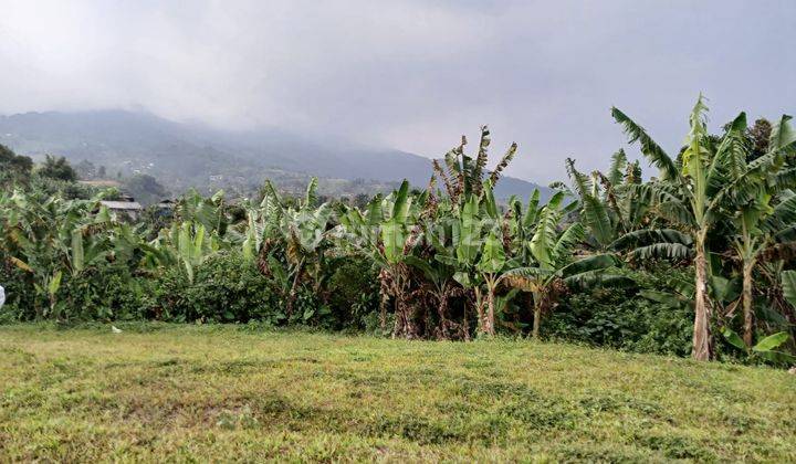 Tanah di Jual di 20 Ha di Cigombong, Bogor 1