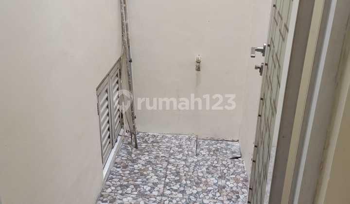 Rumah 2 Lantai Palm Blossom Uk4x15m 2