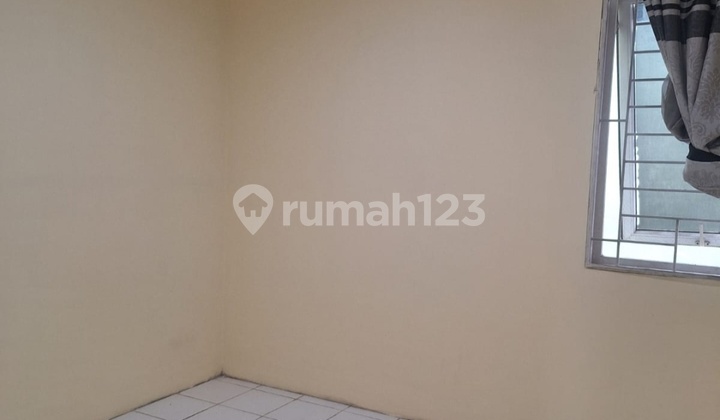 2-Story House Golden Palm Size 4x12.5m 2