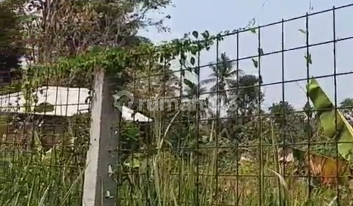 Kavling Akses Container 1ha Di Balaraja Tgr Kavling Akses Container 1ha Di Balaraja Tgr