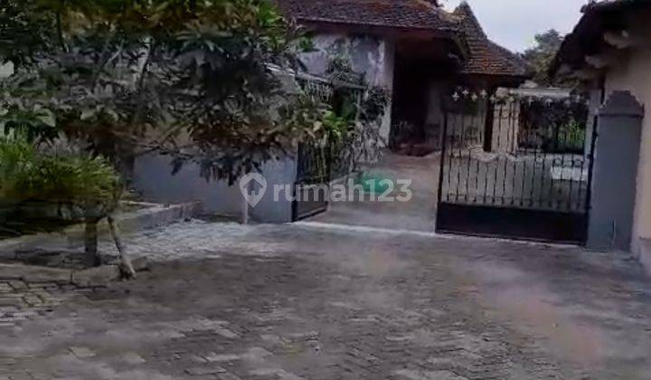 Rumah 1 Lantai Di Jember Jatim Lt 8000m2 1