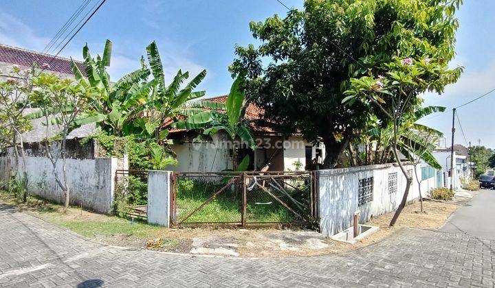 Rumah Lama di Sinar Waluyo Dihitung Harga Tanahnya Saja, Kedungmundu, Semarang Selatan 1