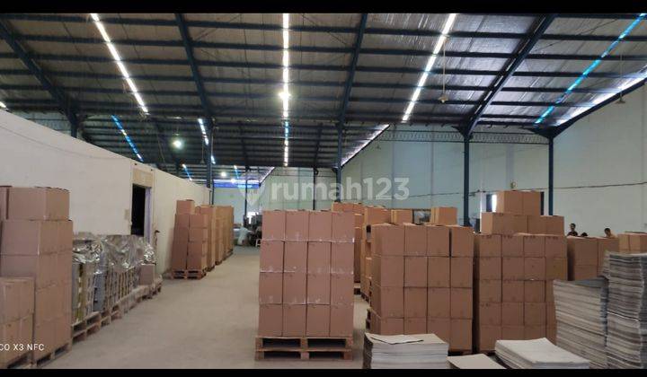 Gudang di Sayung,semarang 3